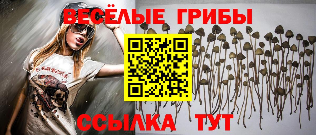 Псилоцибиновые грибы ЛСД  Вход с VPN  Алапаевск 