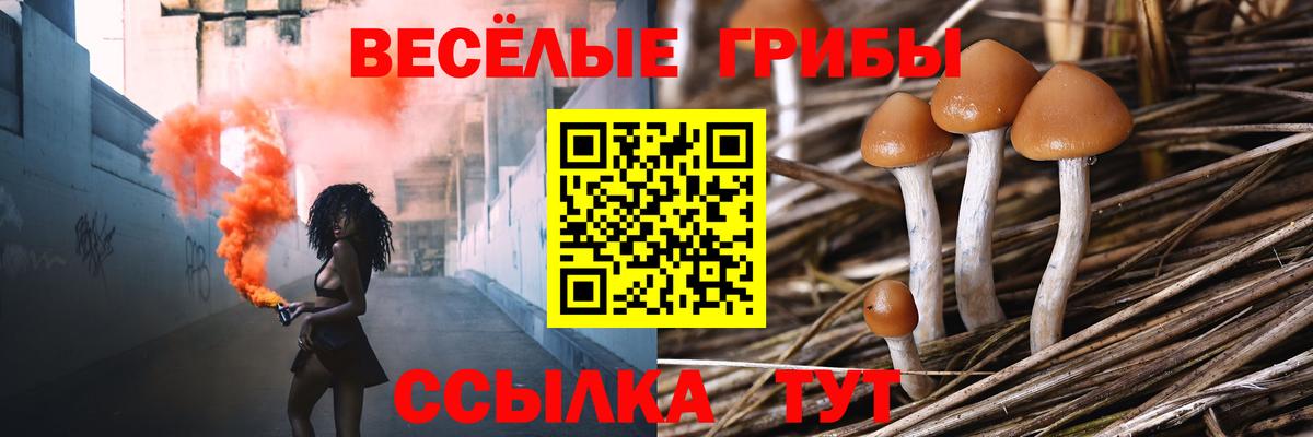 Псилоцибиновые грибы Magic Shrooms Алапаевск